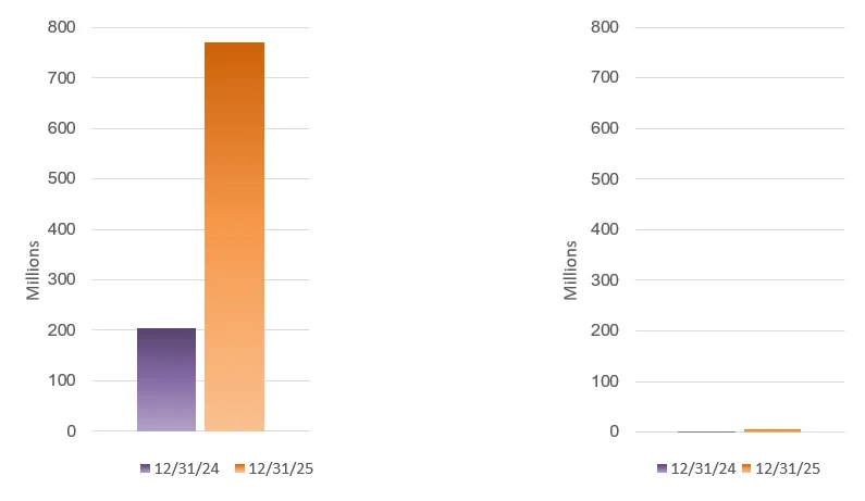 Two bar charts side by side. Left shows Strategic Partnership originations: ~$207M in 12/31/24, ~$771.6M in 12/31/25. Right shows revenue: near zero in both periods, ~$5.4M in 12/31/25.